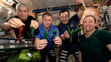 Od lewej: astronauci NASA Mark Vande Hee, Shane Kimbrough, Akihiko Hoshed i Megan MacArthur pozują z papryczką chili hodowaną na pokładzie Międzynarodowej Stacji Kosmicznej